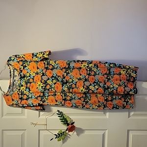 Lularoe Julia dress